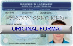 ontario drivers license template